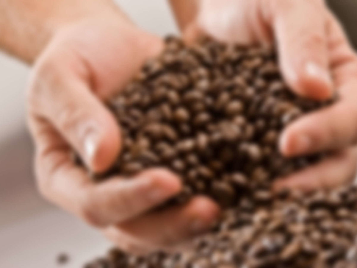 How Did Cappuccino Come to Prominence?