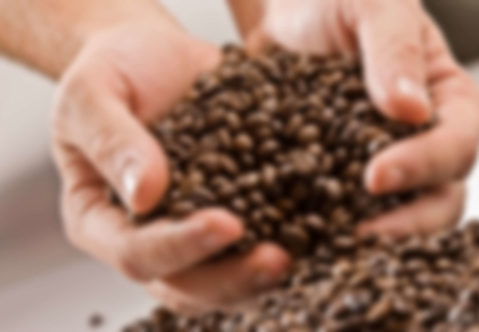 How Did Cappuccino Come to Prominence?